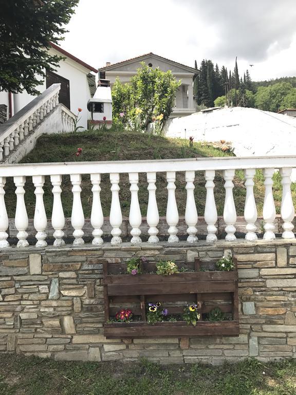 Villa Paradisos Likostomon Buitenkant foto